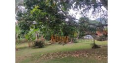 Finca – Copacabana – El Noral