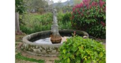 Finca – Copacabana – El Noral