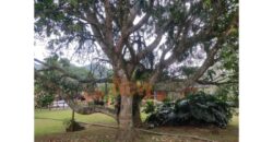 Finca – Copacabana – El Noral