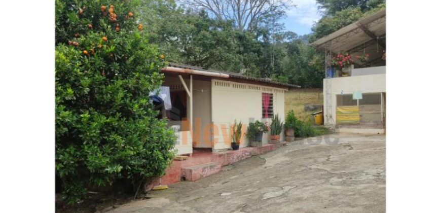 Finca – Copacabana – El Noral