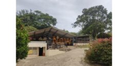 Finca – Copacabana – El Noral