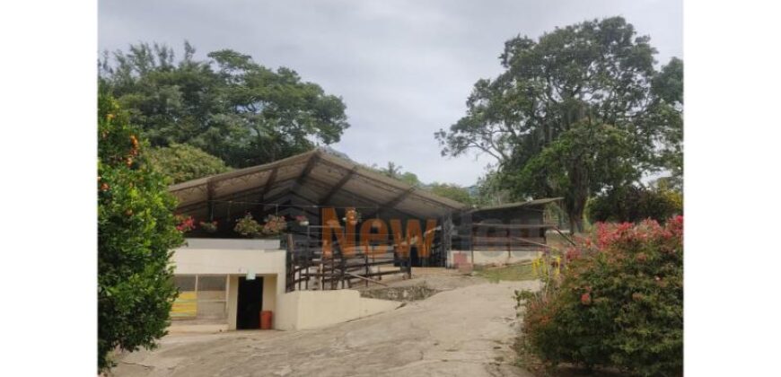 Finca – Copacabana – El Noral