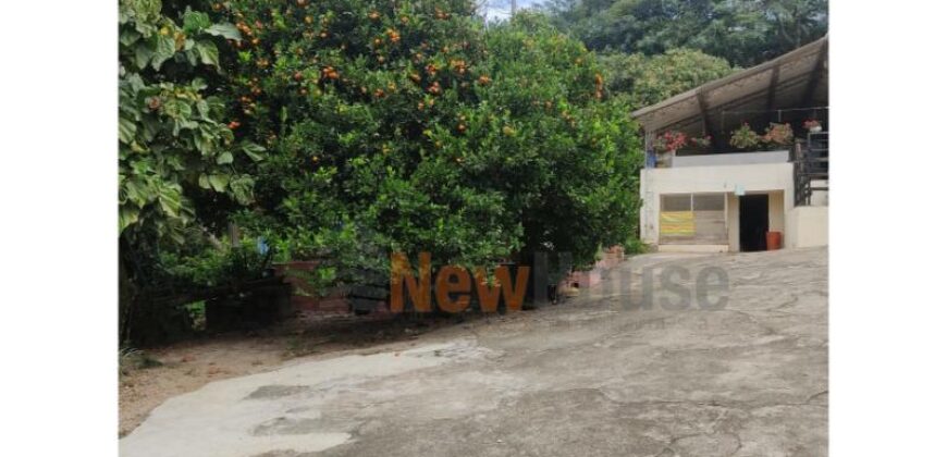 Finca – Copacabana – El Noral