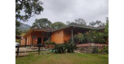 Finca – Copacabana – El Noral