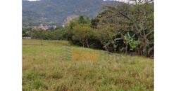 Finca – Copacabana – El Noral