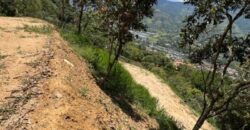 LOTE EN VENTA COPACABANA Vereda Peñolcito (Pamplemusa)