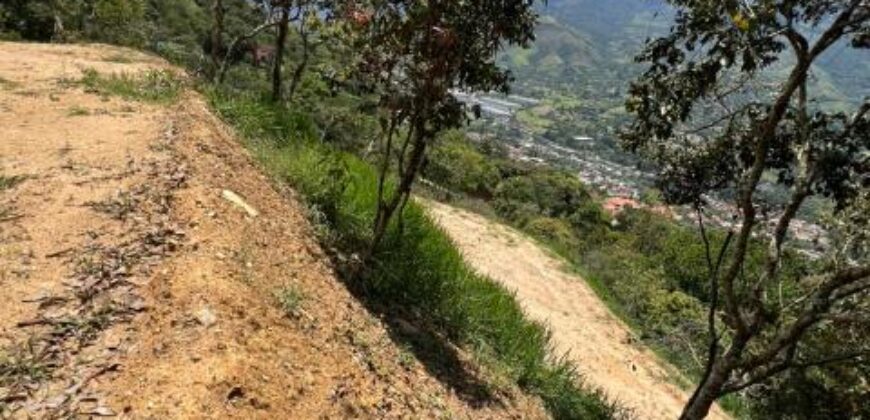 LOTE EN VENTA COPACABANA Vereda Peñolcito (Pamplemusa)