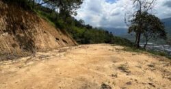 LOTE EN VENTA COPACABANA Vereda Peñolcito (Pamplemusa)