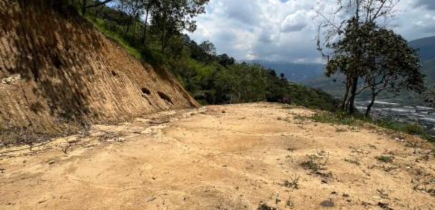 LOTE EN VENTA COPACABANA Vereda Peñolcito (Pamplemusa)