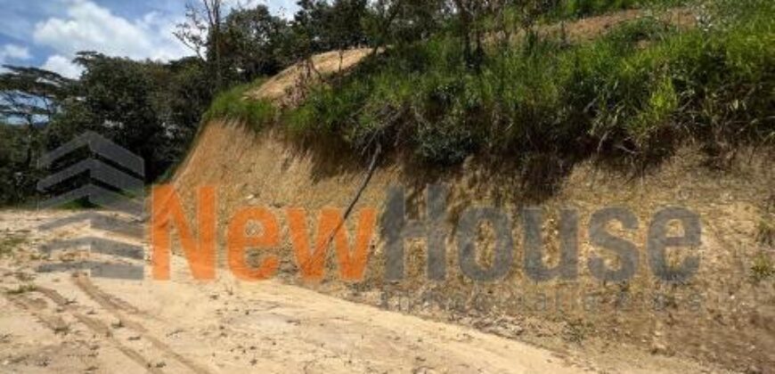 LOTE EN VENTA COPACABANA Peñolcito (Pamplemusa)