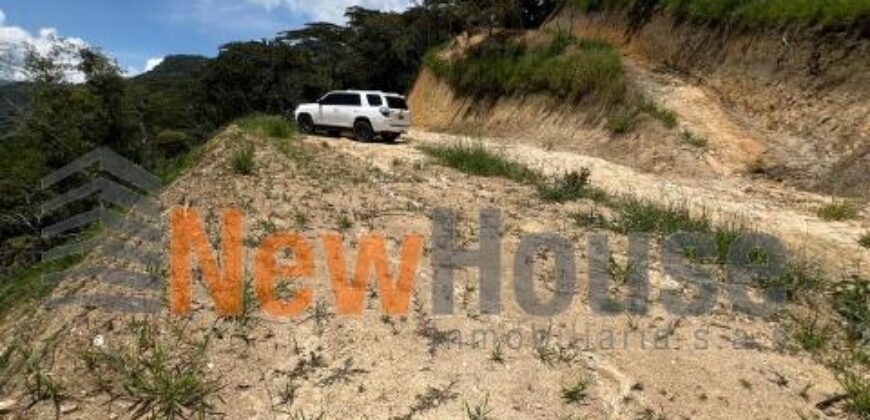 LOTE EN VENTA COPACABANA Peñolcito (Pamplemusa)