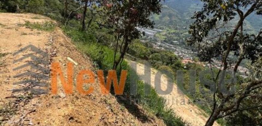 LOTE EN VENTA COPACABANA Peñolcito (Pamplemusa)