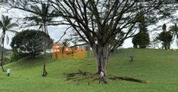 FINCA EN VENTA EN PARCELACION POPALITO BARBOSA